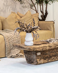 Mallorca Three Seater Sofa | Aniline Leather | Cashew Uniqwa Collections