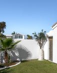 Nusa Palm Planter with an olive tree beside a rustic timber door and white rendered walls in a sunlit coastal garden.