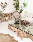 Hand-Carved Teak Root Coffee Table Uniqwa Collections
