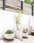 Nommo Pot Uniqwa Collections