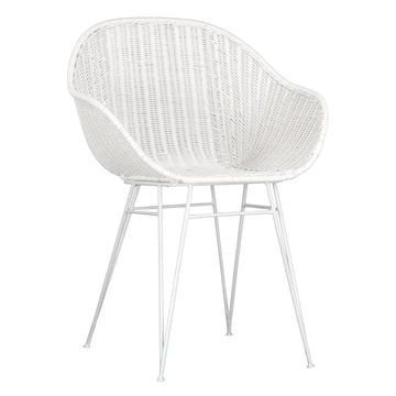 Angola Dining Chair | White - Uniqwa Collections wholesale furniture suppliers for interior designers australia