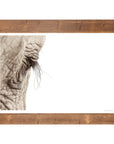 Africa Wall Art | Ukuthula Uniqwa Collections