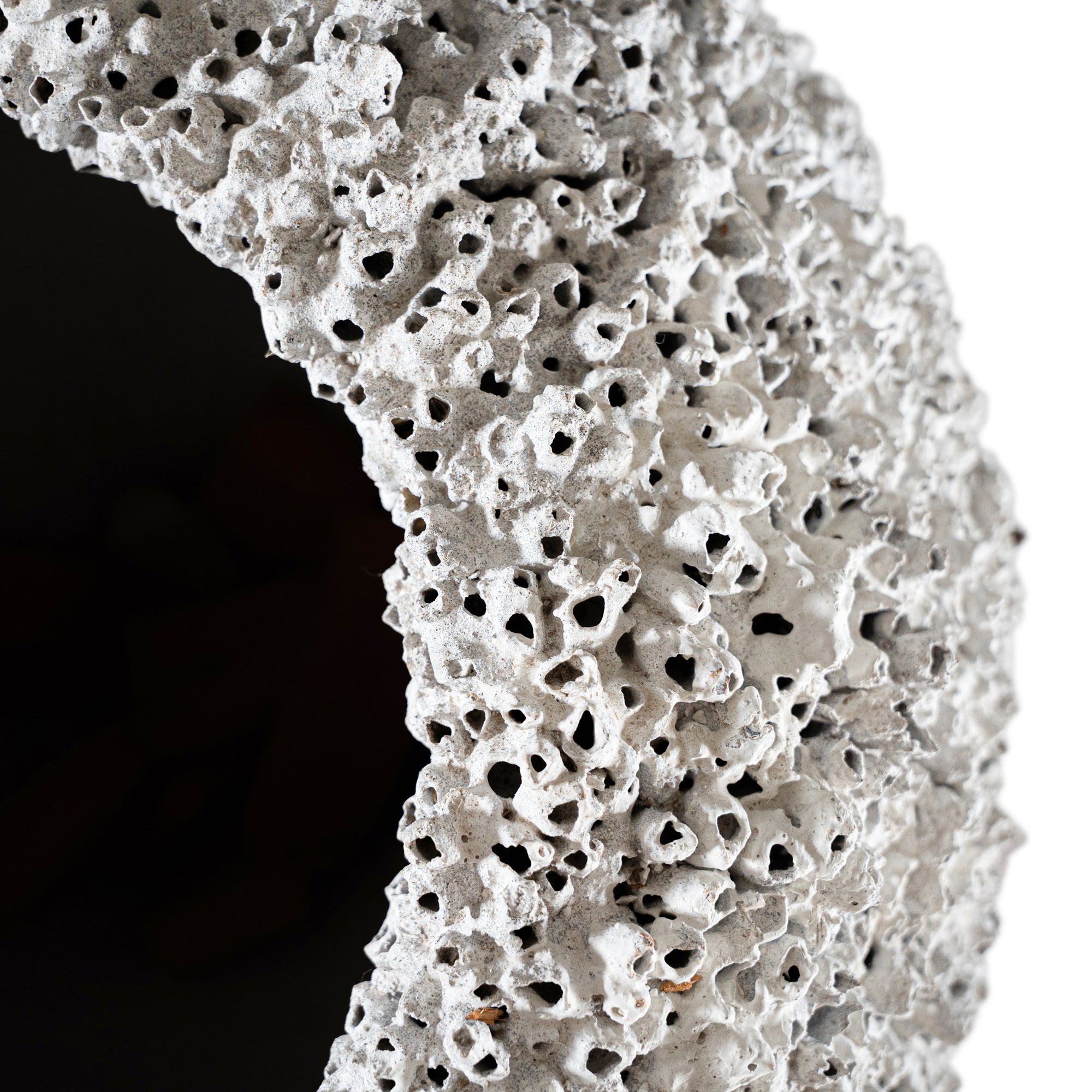 Original Barnacle Vase Uniqwa Collections