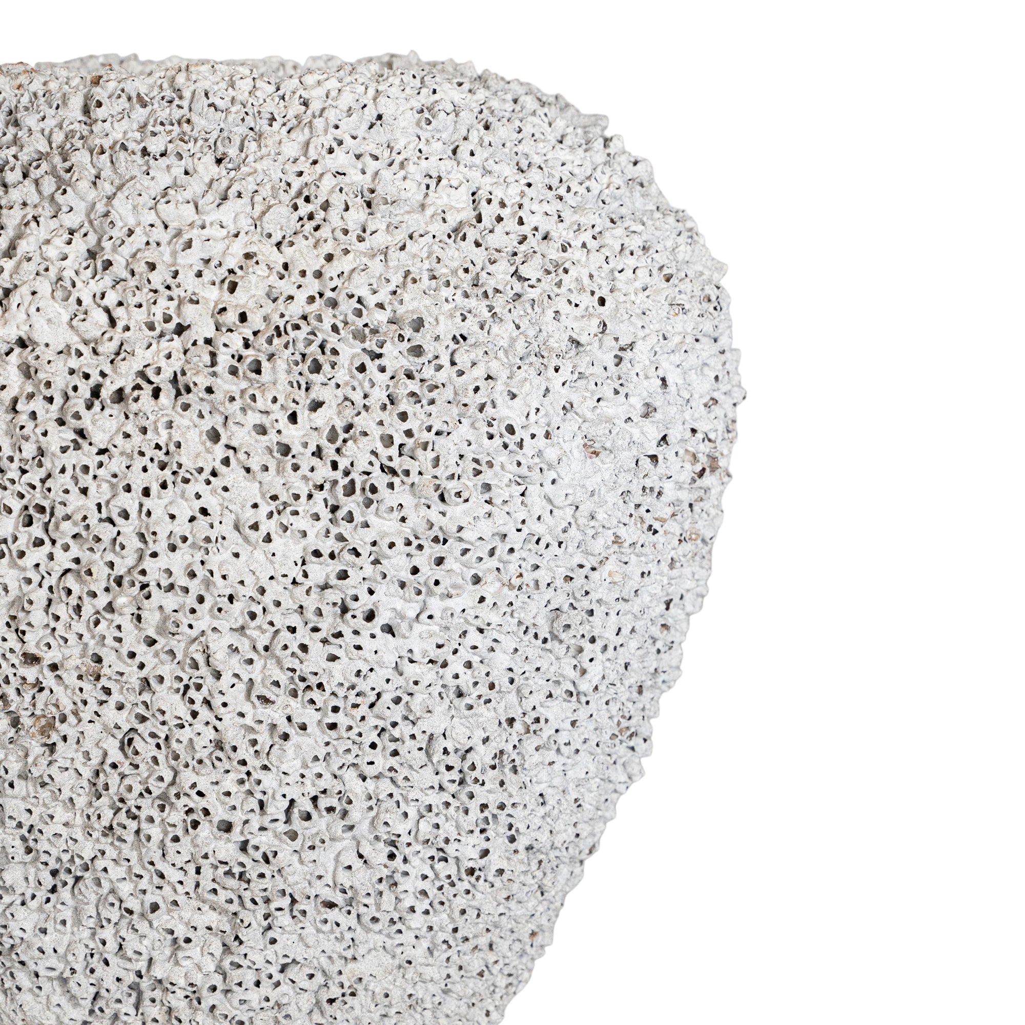 Original Barnacle Vase Uniqwa Collections