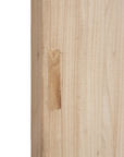 Reclaimed Elm Door Panel