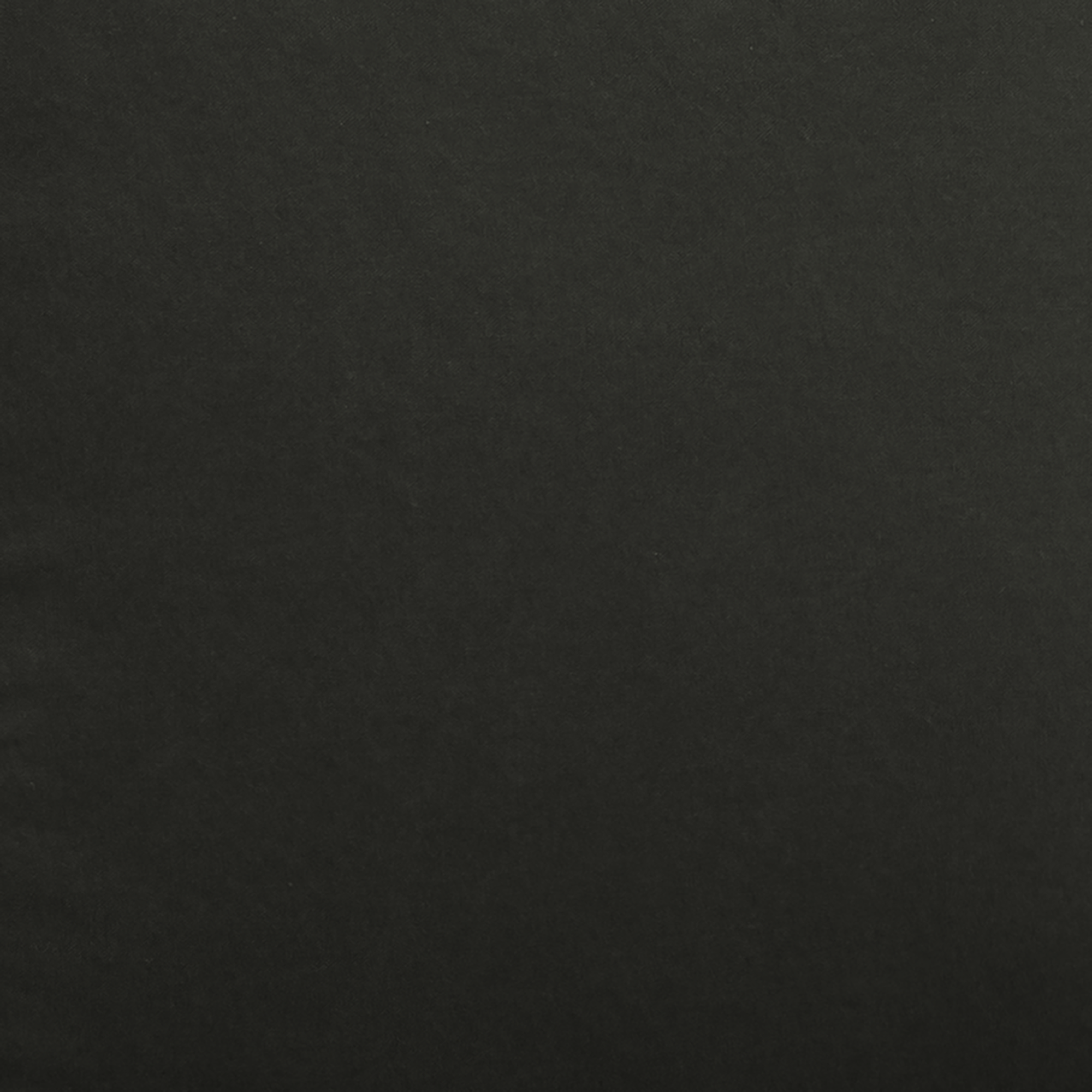 Nadi Dining Chair | Moss Black Canvas Uniqwa Collections