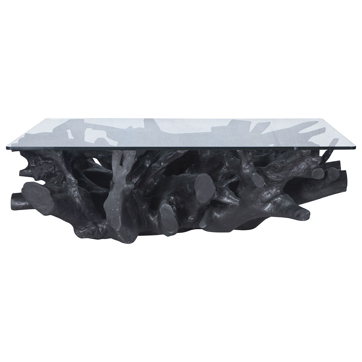 Teak Root Coffee Table Black Uniqwa Collections