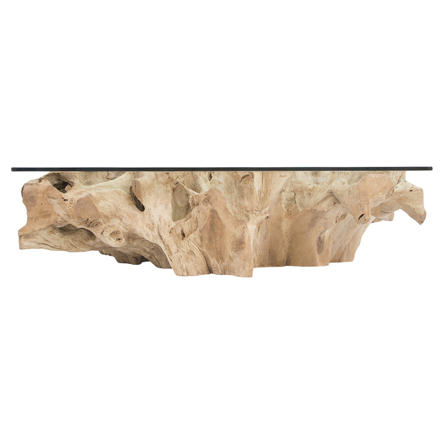 Teak Root Coffee Table