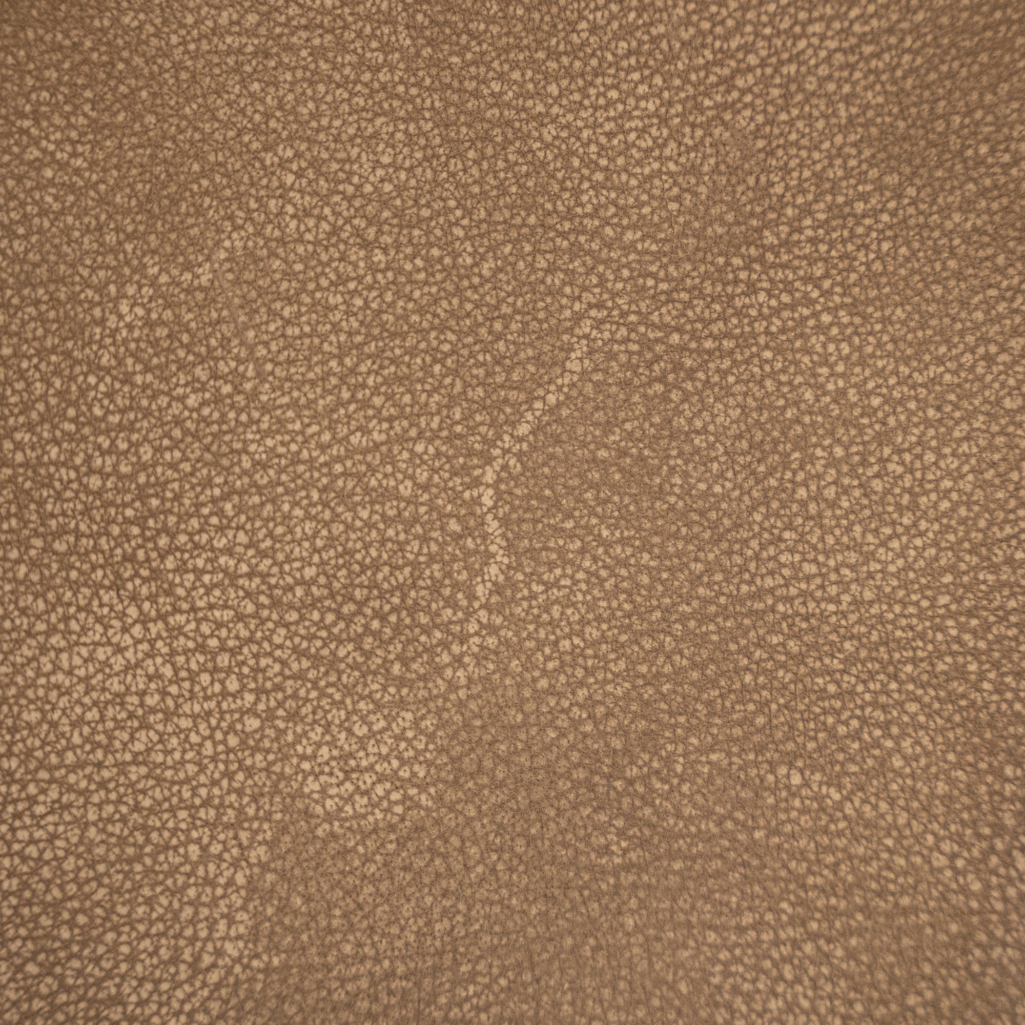 Capri Dining Chair | Buffalo Leather | Enoki Brown Uniqwa Collections