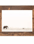 Africa Wall Art | Ukuba Uniqwa Collections
