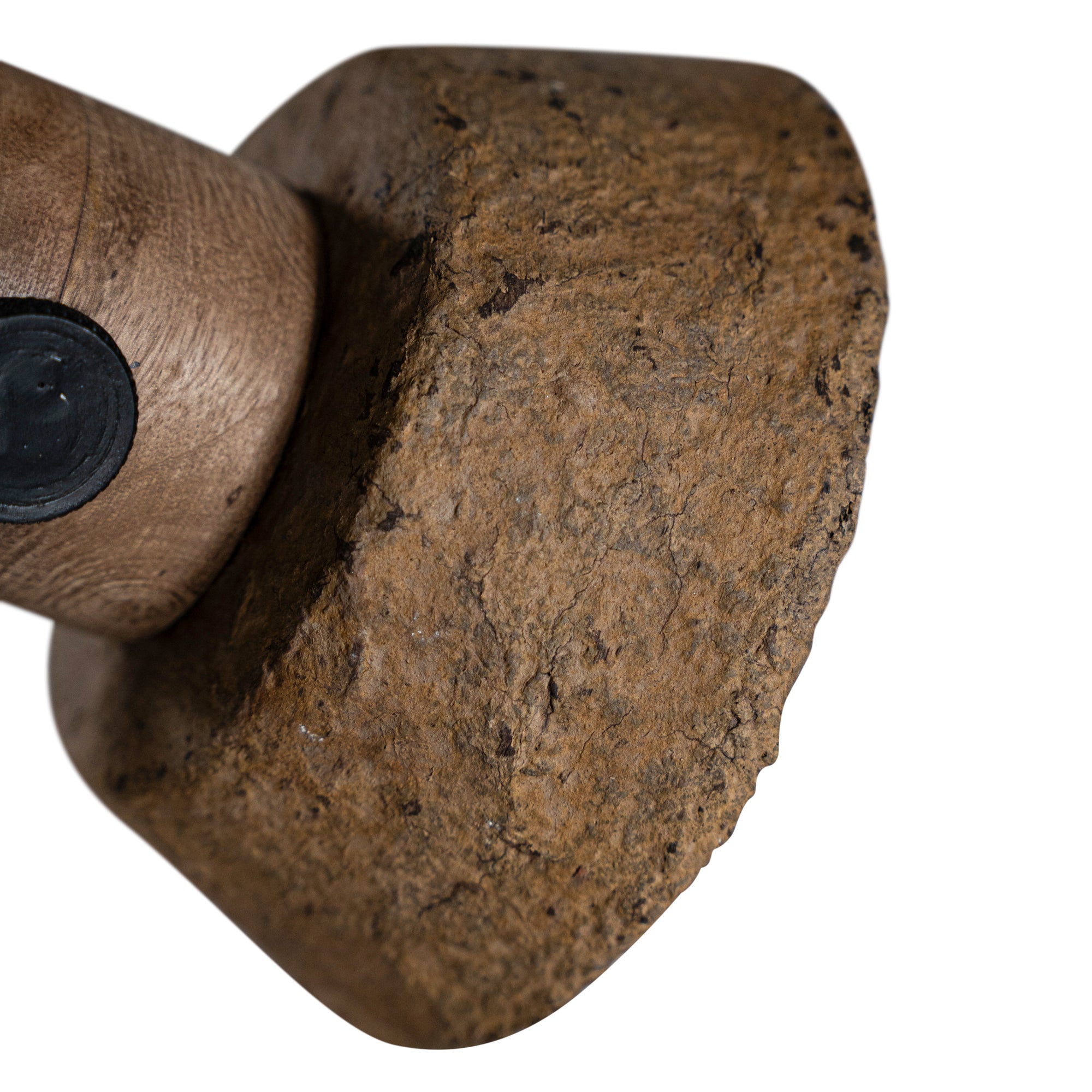Amia Wall Lamp | Dark Roast Uniqwa Collections
