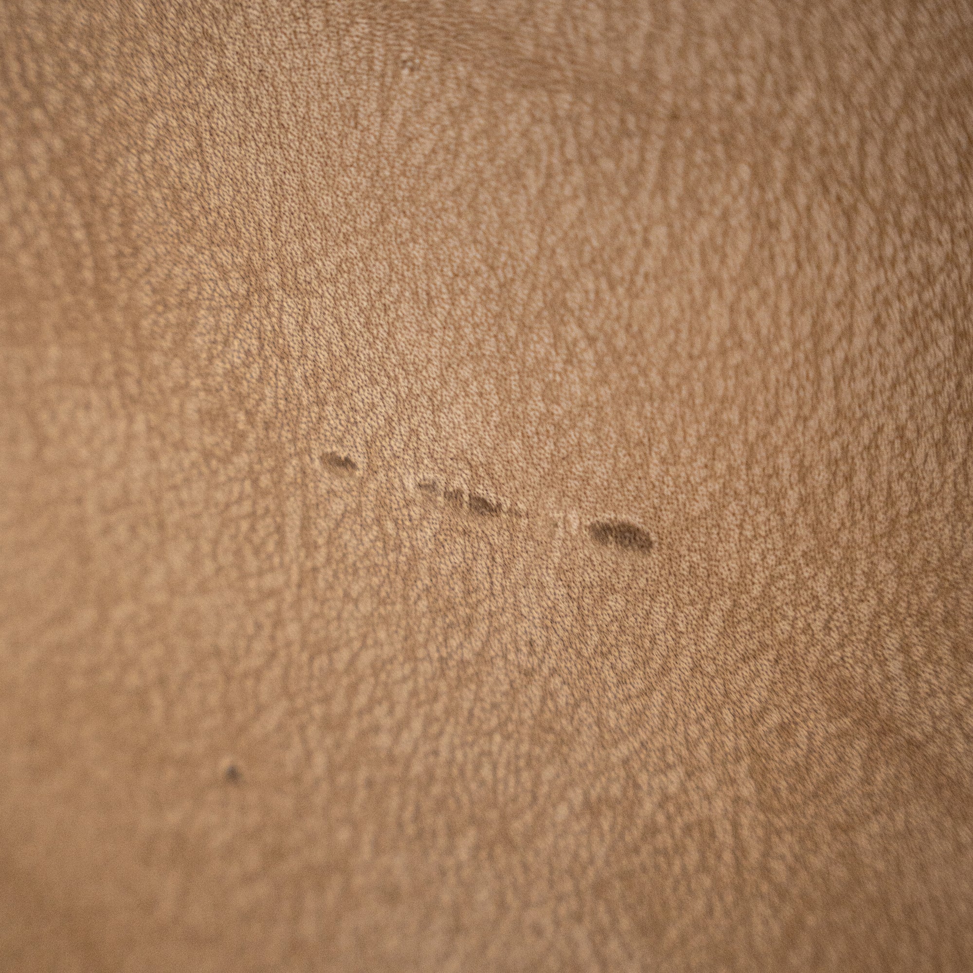 Guatemala Dining Chair | Buffalo Leather | Savannah Nut Uniqwa Collections