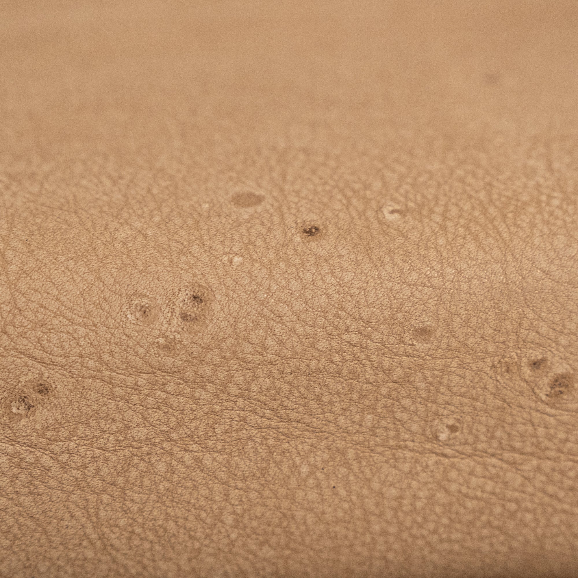 Guatemala Dining Chair | Buffalo Leather | Savannah Nut Uniqwa Collections