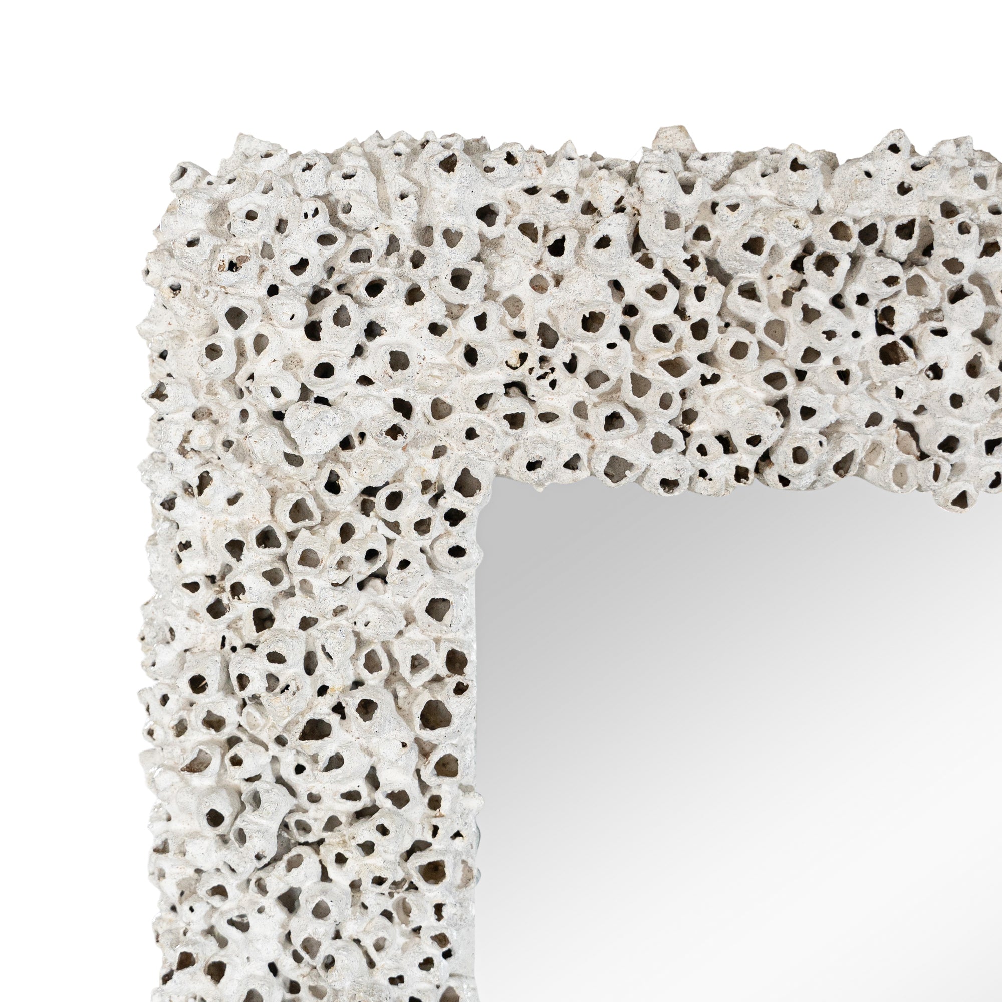 Barnacle Mirror Uniqwa Collections