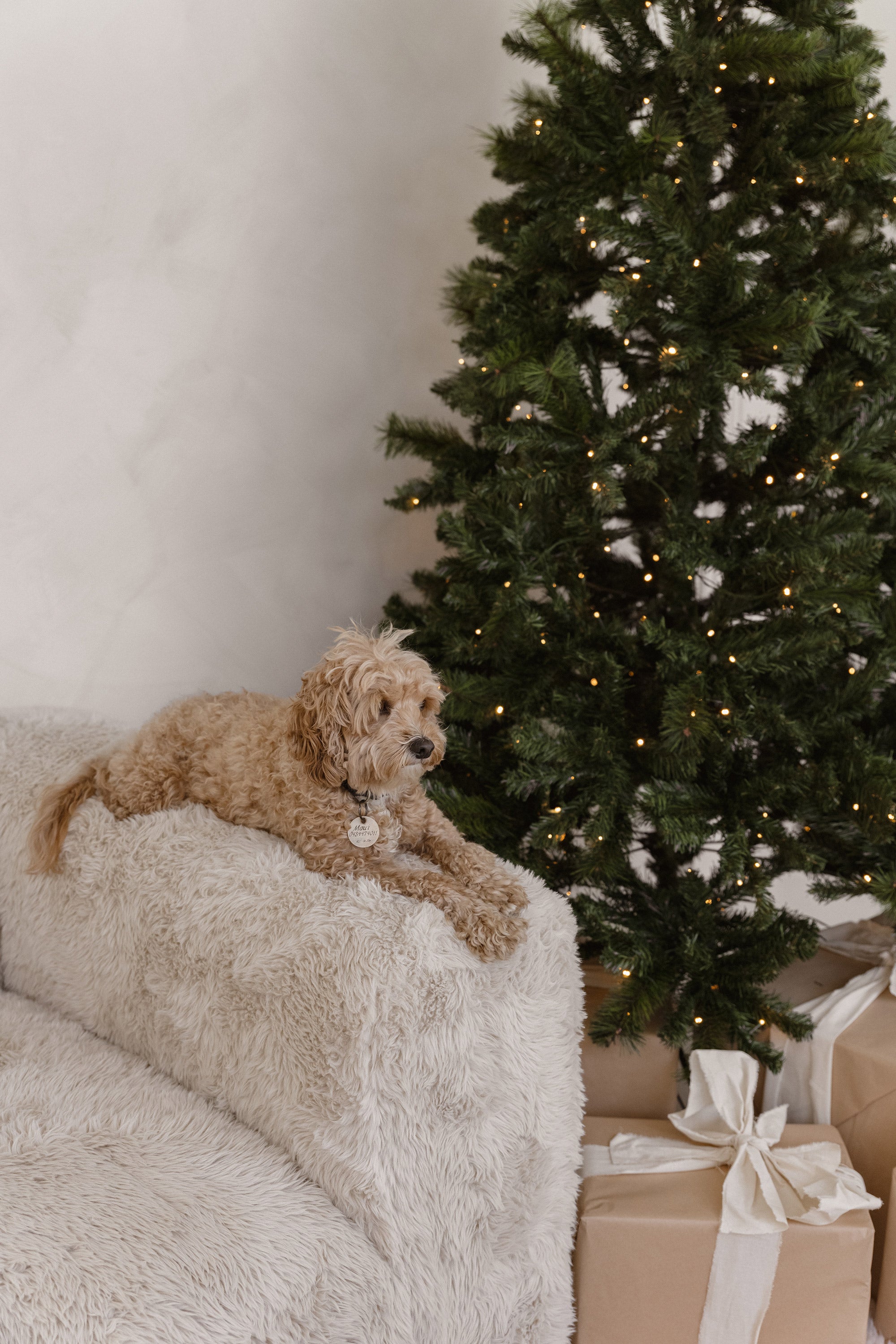 Harlow Sofa | Fur Luxe | Three Seater Uniqwa Collections