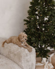 Harlow Sofa | Fur Luxe | Three Seater Uniqwa Collections