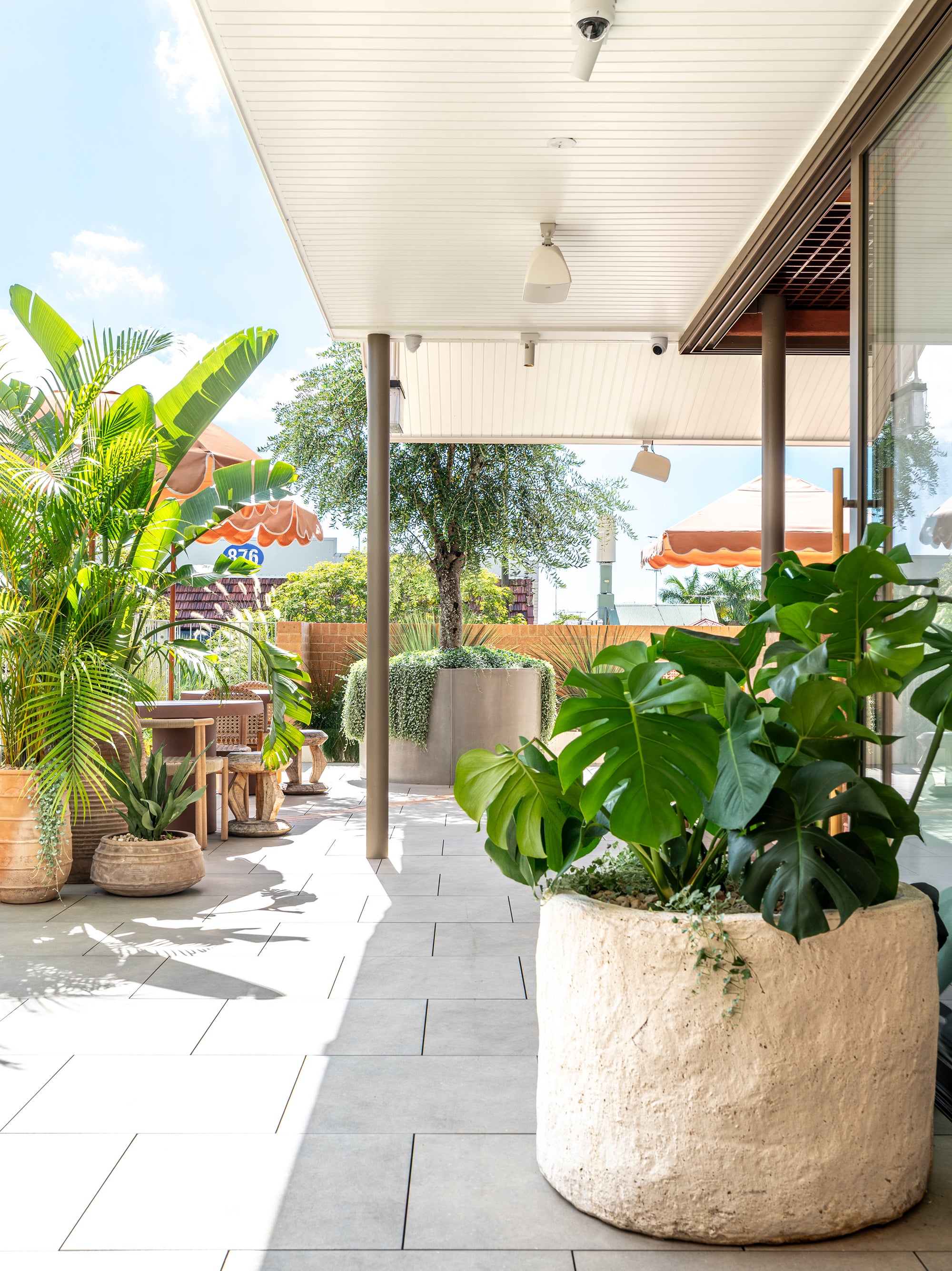 Large Maaru planter filled with lush greenery in a bright rooftop bar setting with layered plants soft light and relaxed outdoor ambience