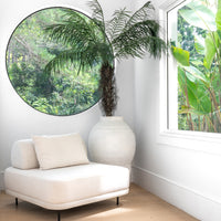 Modern white lounge chair styled with a textured cushion, positioned beside a grand white earthenware vase with lush greenery, reflecting in a large round window for a serene and organic corner