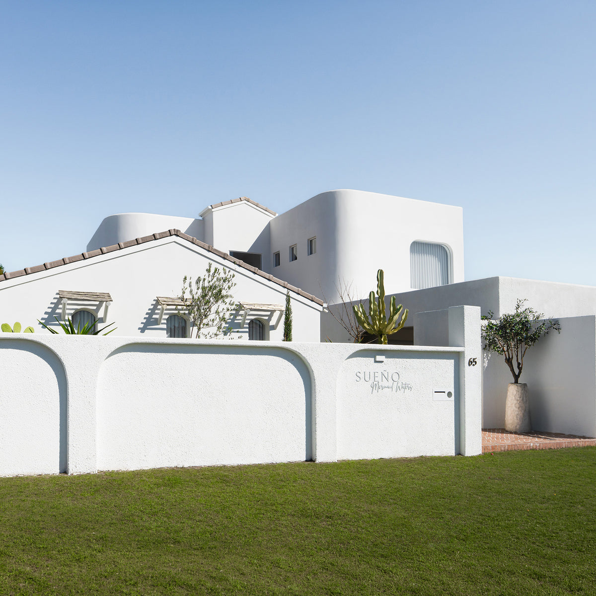 Nusa Palm Planter with an olive tree styled at the entrance of a white Mediterranean inspired home.