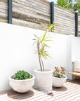 Nommo Pot Uniqwa Collections