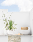 Nommo Pot Uniqwa Collections