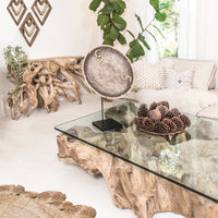Teak Root Console Table | Bleached