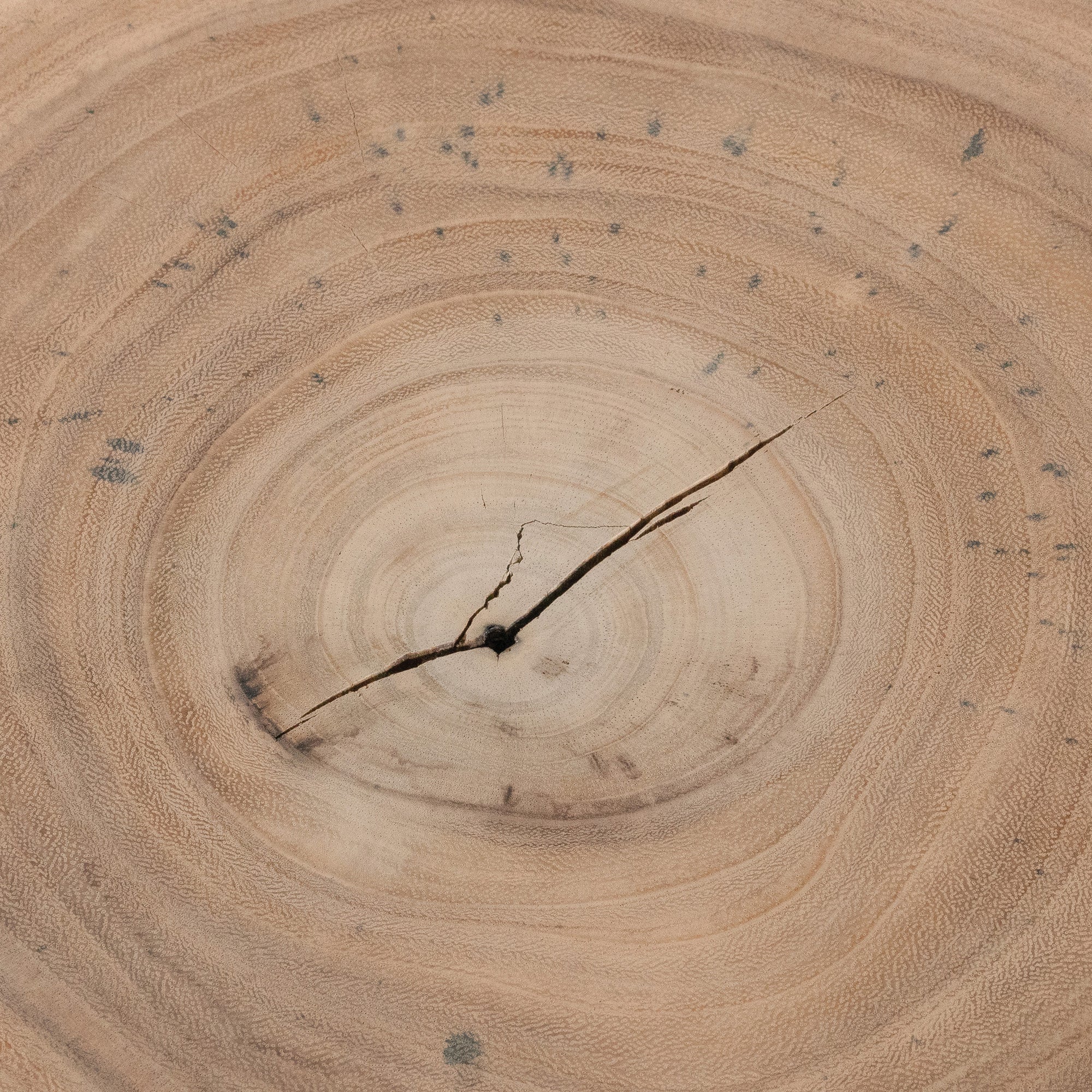 Kunye Coffee Table | Natural Uniqwa Collections