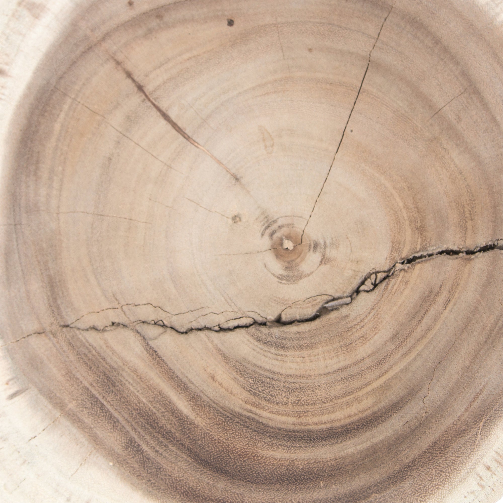 Kunye Coffee Table | Natural Uniqwa Collections