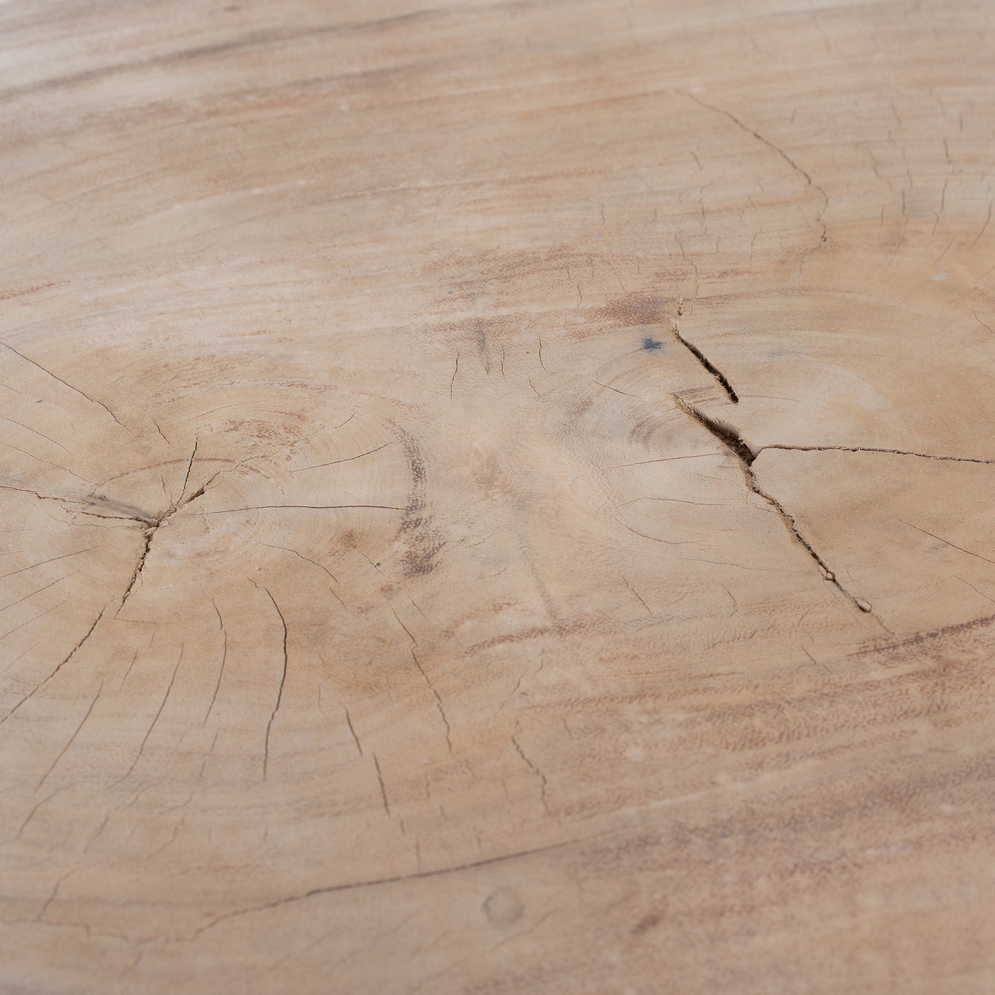 Stomp Coffee Table | Natural Uniqwa Collections