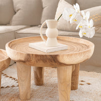 Tamale Coffee Table | Natural