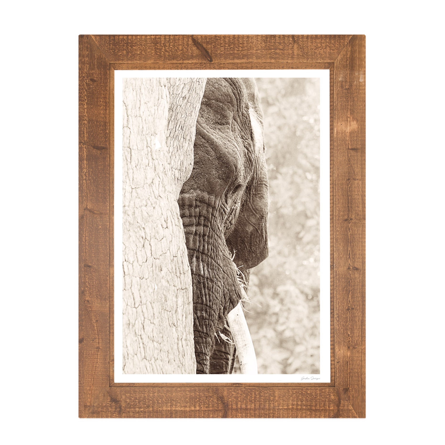 Africa Wall Art | Ukukhula Uniqwa Collections